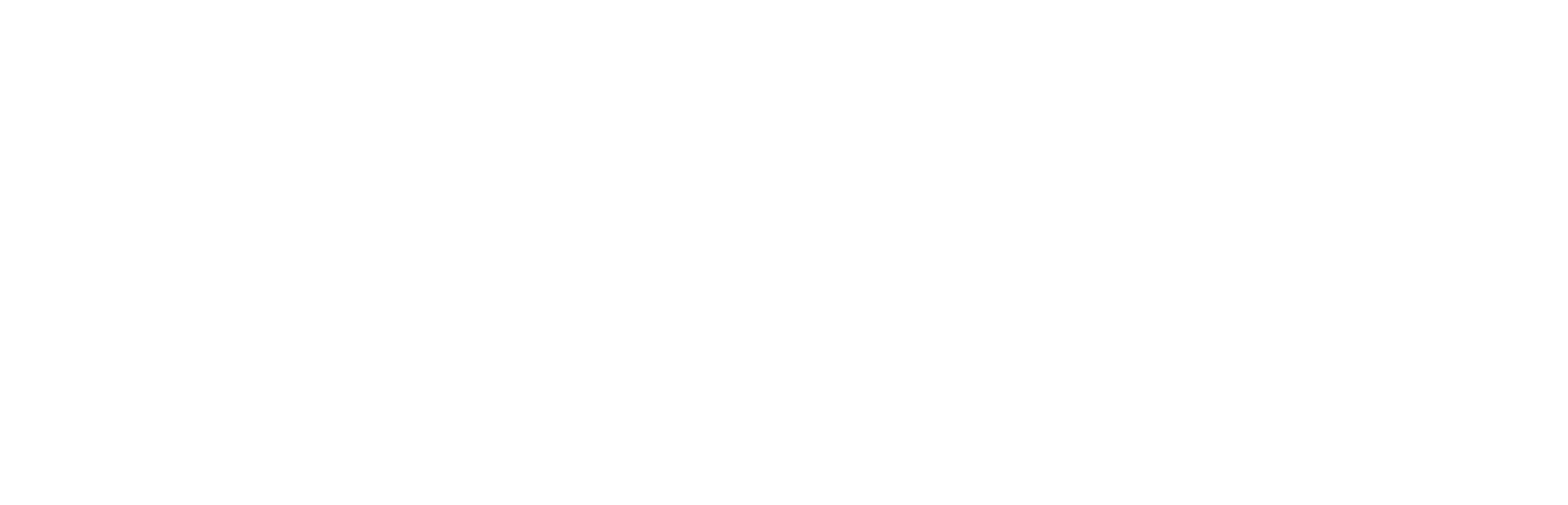 Women's Race
